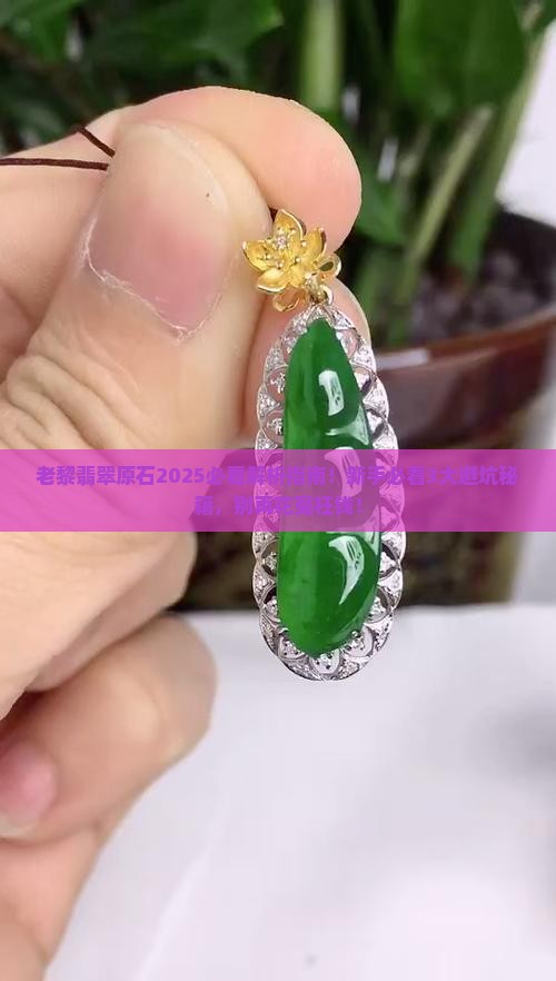 老黎翡翠原石