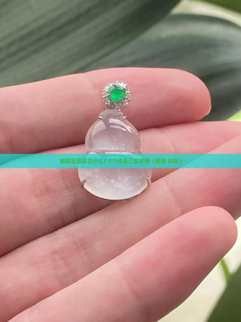 珊瑚玉意境是什么
