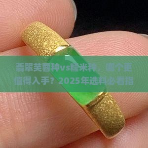 翡翠芙蓉种与糯米种哪个好
