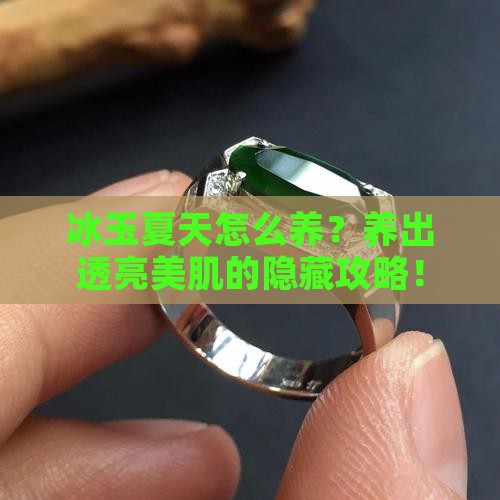 冰玉夏天怎么养