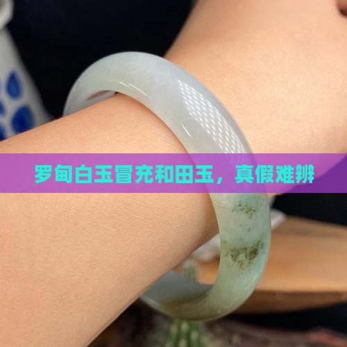 罗甸白玉冒充且末白玉