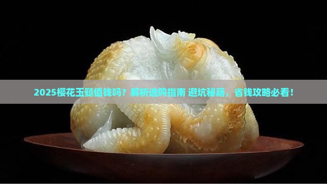 樱花玉髓值钱吗