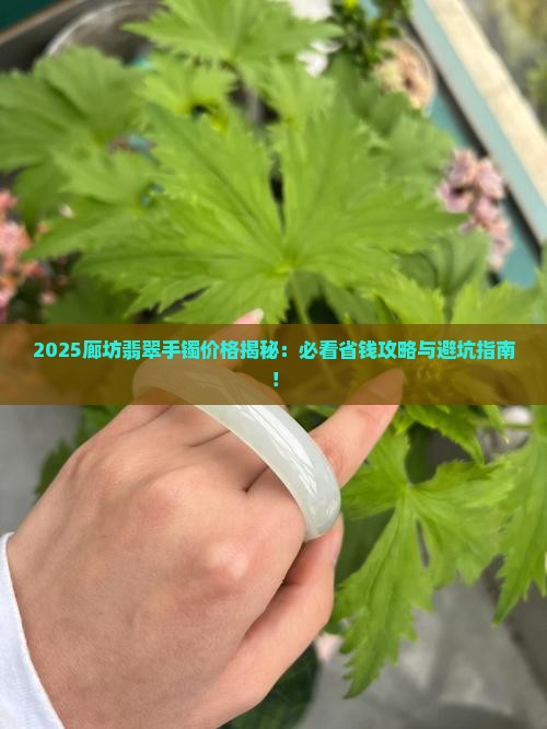 廊坊翡翠手镯价格多少钱一个