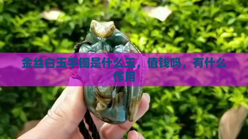金丝白玉手镯是什么