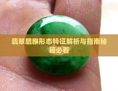 翡翠貔貅的形态特征
