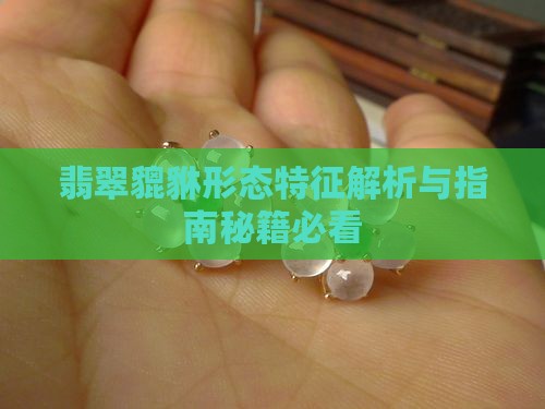 翡翠貔貅的形态特征
