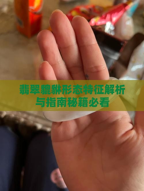 翡翠貔貅的形态特征