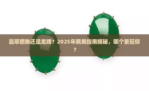 翡翠貔貅和龙牌哪个更好戴一点