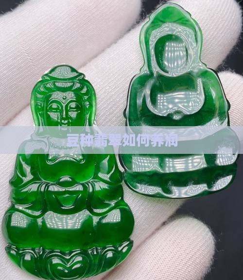 豆种翡翠怎么养润