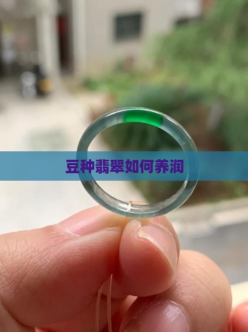 豆种翡翠怎么养润