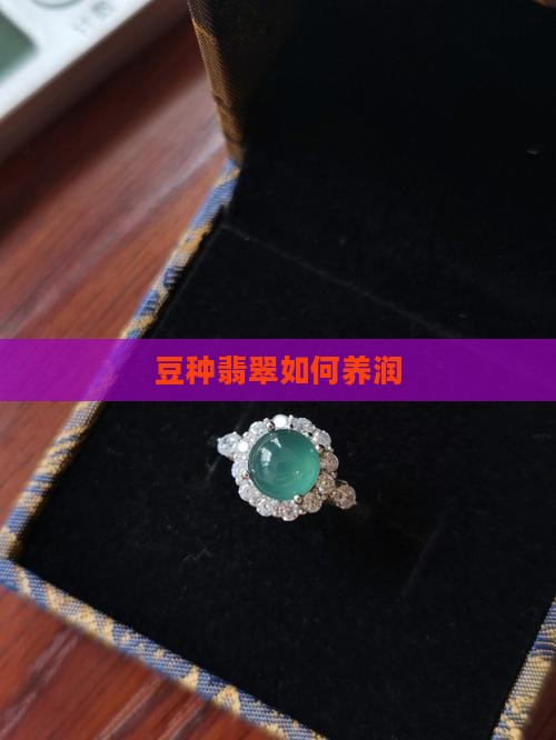 豆种翡翠怎么养润