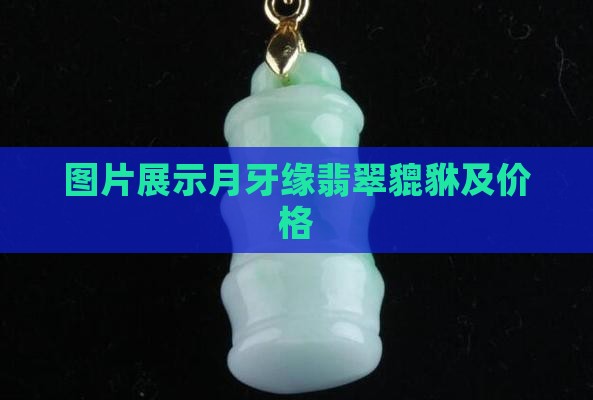 月牙缘翡翠貔貅
