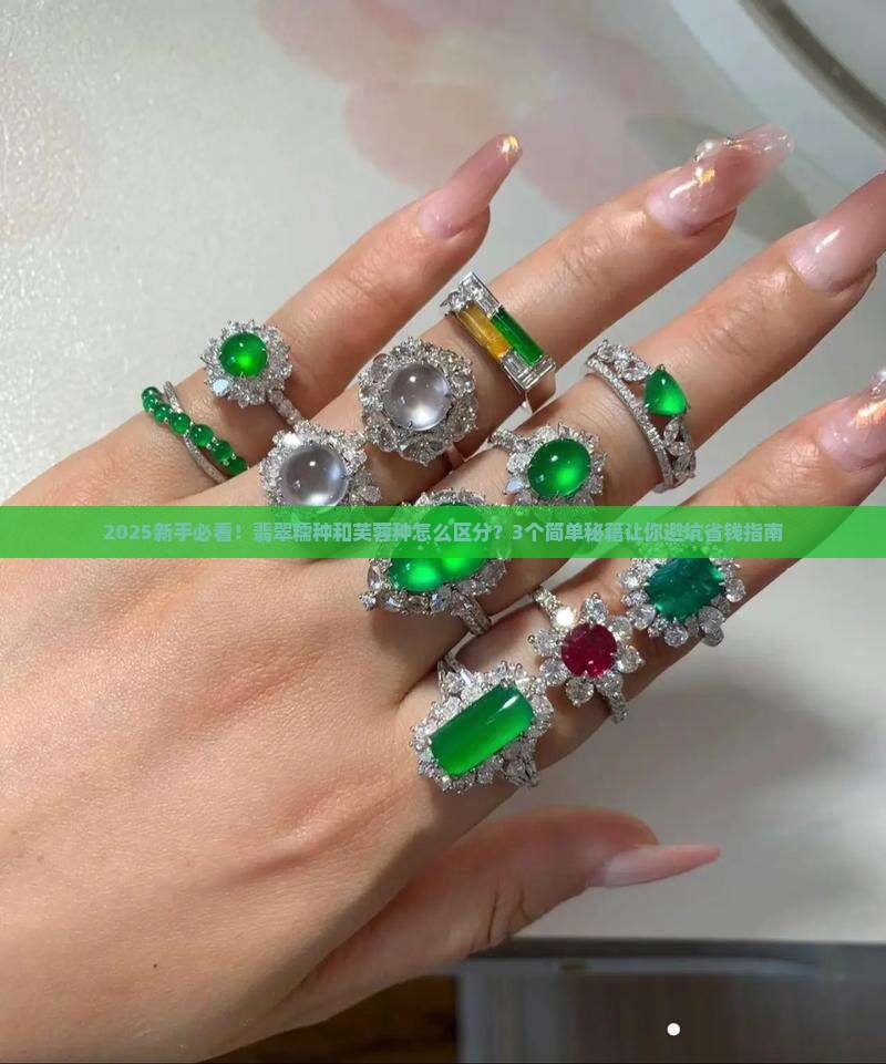 翡翠糯种和芙蓉种的区别在哪