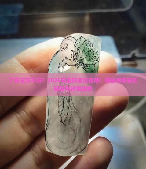 丁青玉好不好
