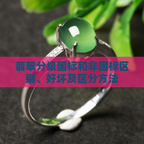 翡翠分级国标和非国标