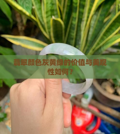 颜色灰黄绿翡翠好看吗