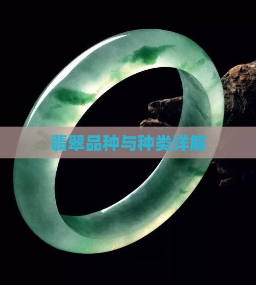 所有翡翠品种
