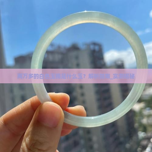 两万多的白色玉镯是什么玉