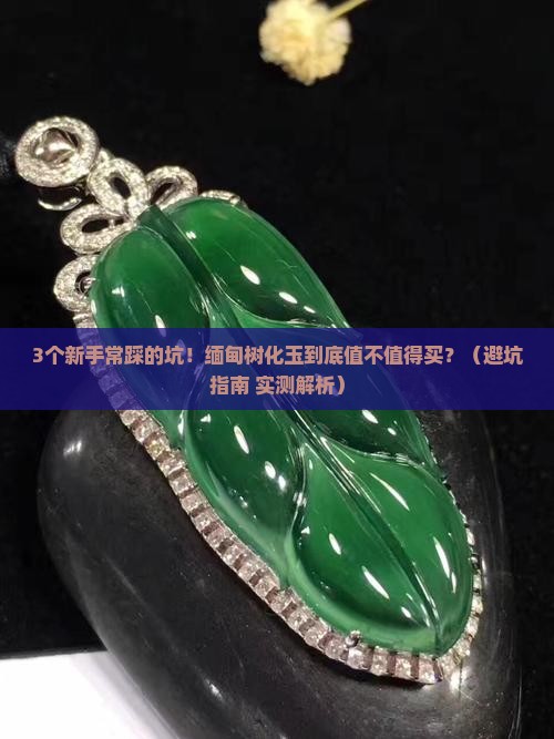 缅甸树化玉是什么