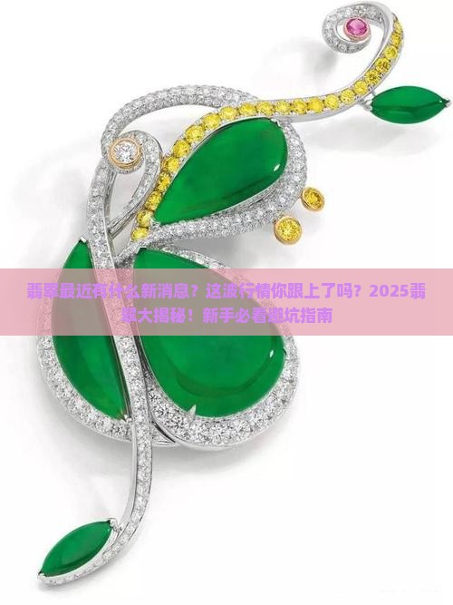 翡翠最近有什么新消息