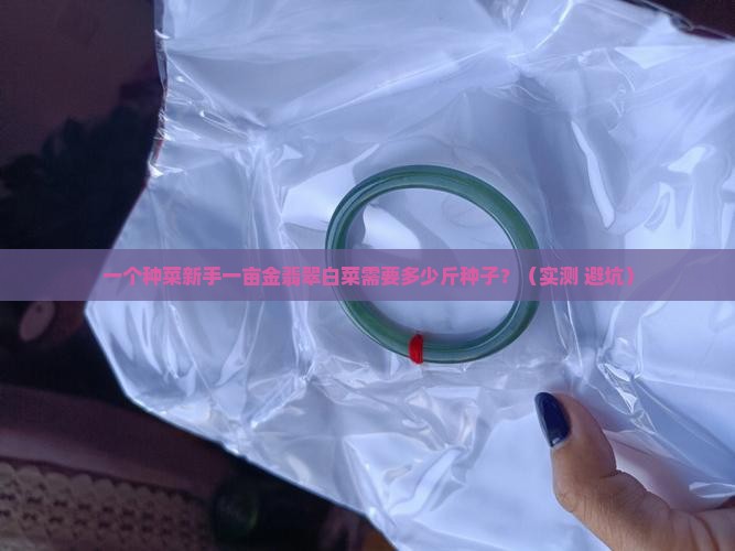 金翡翠白菜品种一亩需要多少斤种子