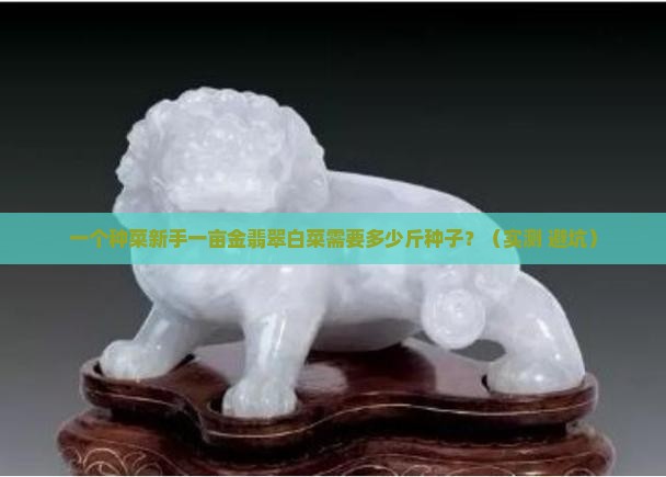 金翡翠白菜品种一亩需要多少斤种子
