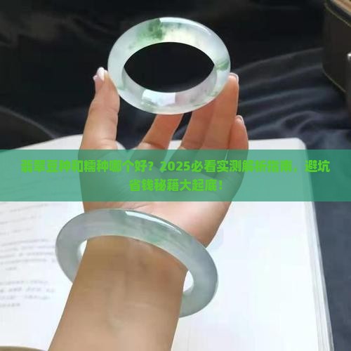 翡翠豆种和糯种哪个好