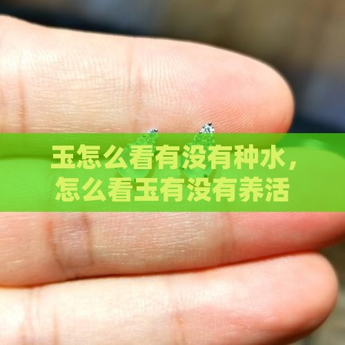 玉怎么看有没有种水