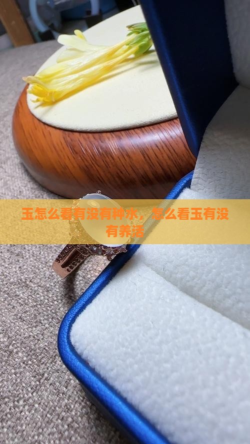 玉怎么看有没有种水