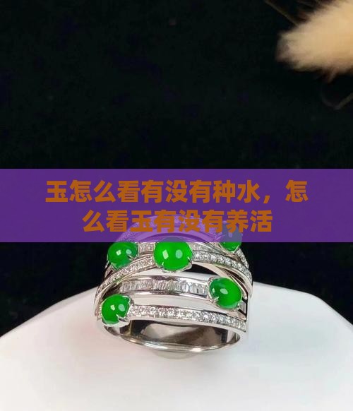 玉怎么看有没有种水