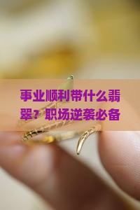 事业顺利带什么翡翠