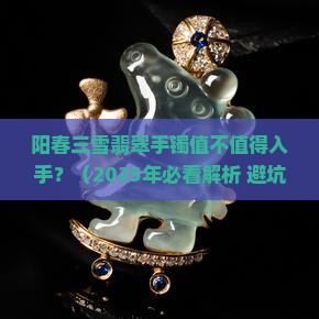 阳春三雪翡翠手镯