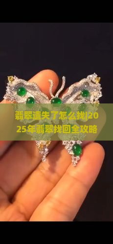 翡翠遗失了怎么找