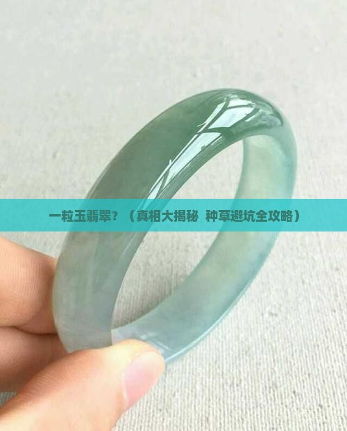 一粒玉翡翠