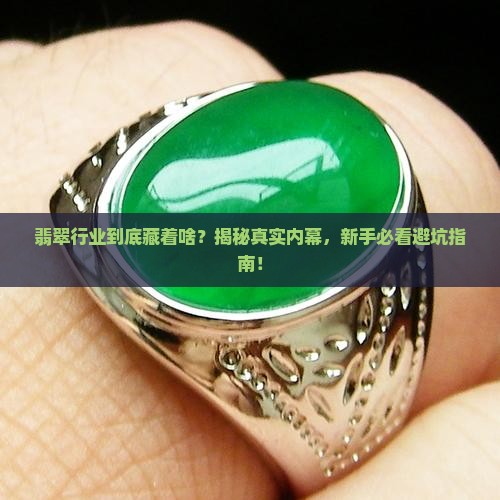 翡翠行业感言