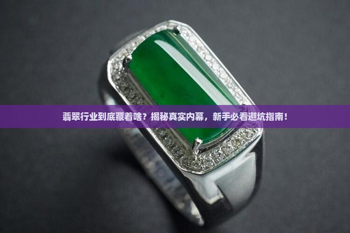 翡翠行业感言