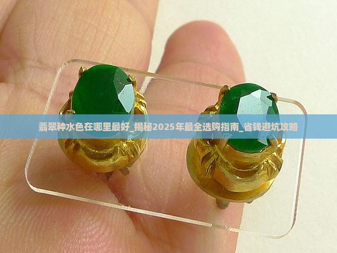 翡翠种水色在哪里最好