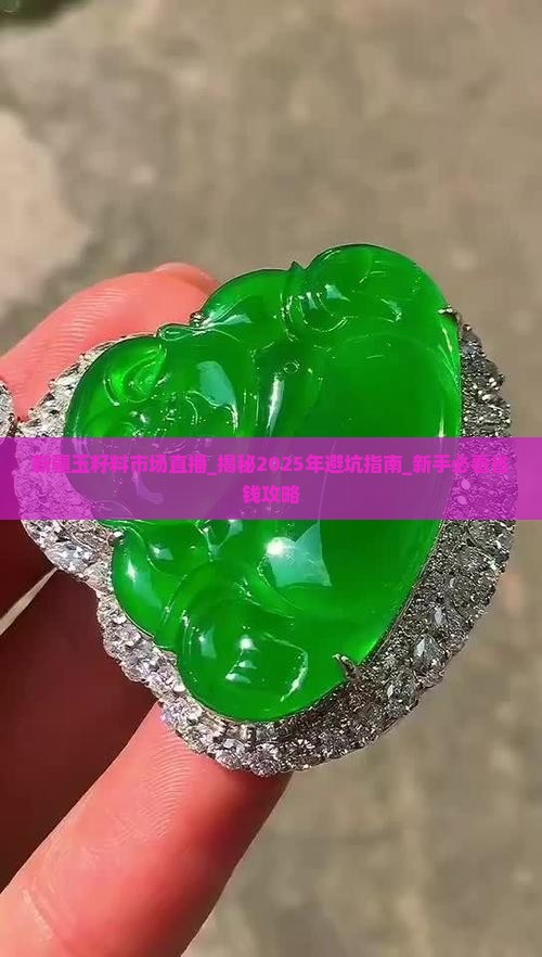 新疆玉籽料市场直播