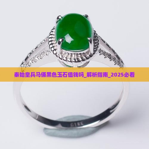 秦始皇兵马俑黑色玉石值钱吗