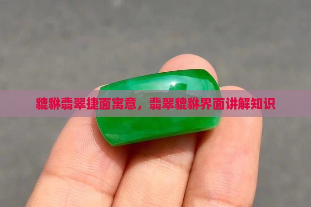 貔貅翡翠捷面