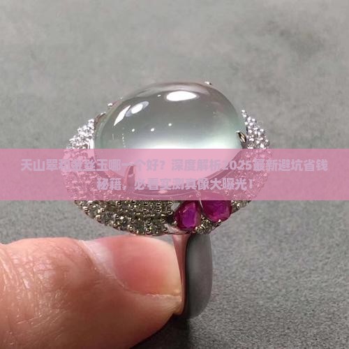 天山翠和金丝玉哪一个好