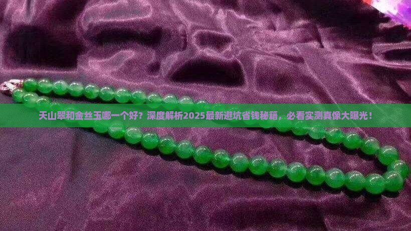 天山翠和金丝玉哪一个好