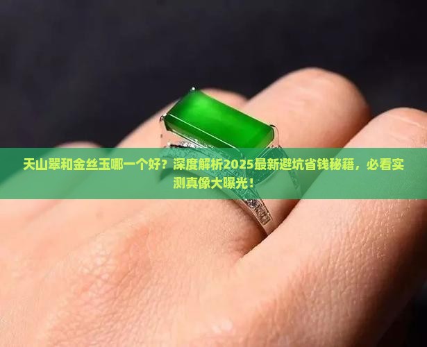 天山翠和金丝玉哪一个好