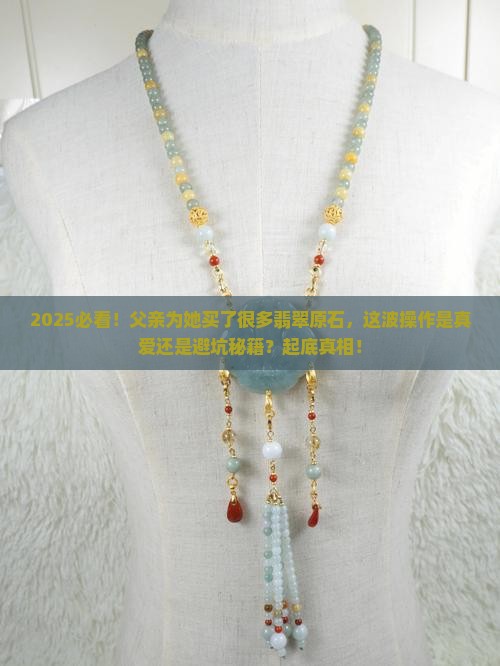 父亲为她买了很多翡翠原石