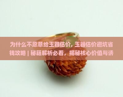 为什么不愿意给玉器估价