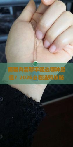 葡萄肉翡翠手镯什么种的好一点