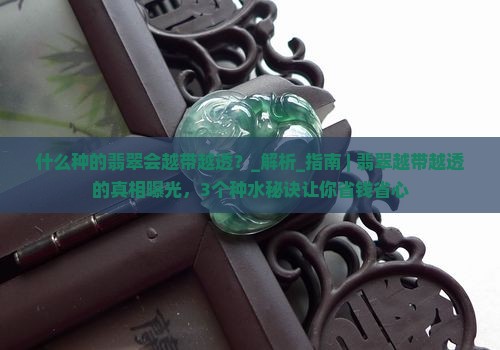 什么种的翡翠会越带越透