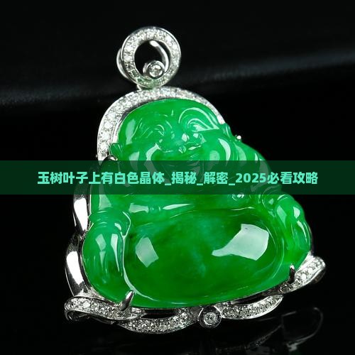 玉树叶子上有白色晶体