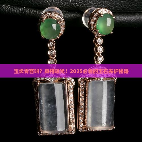 玉长青苔吗