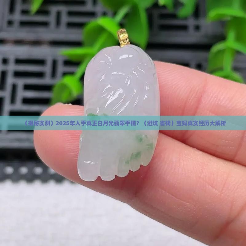 真正的白月光翡翠手镯